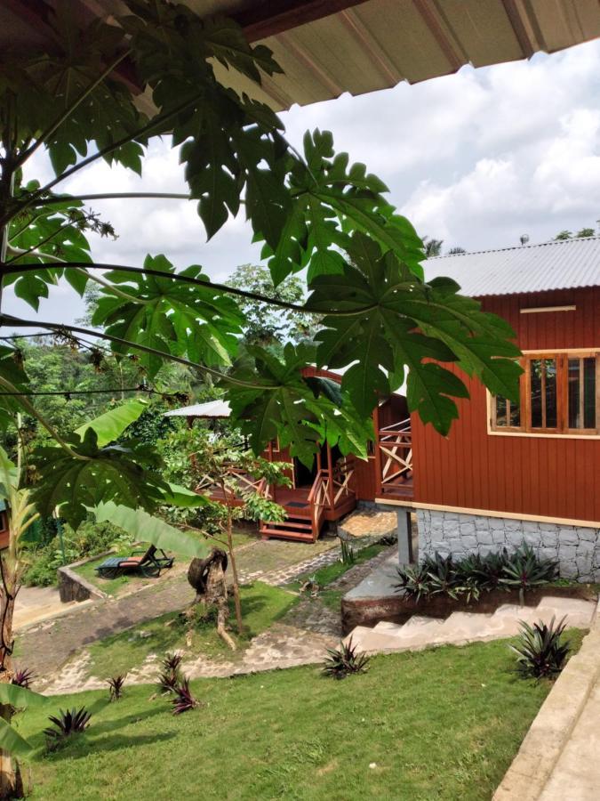 Guest House Quinta Natural Bangalots Graca Εξωτερικό φωτογραφία