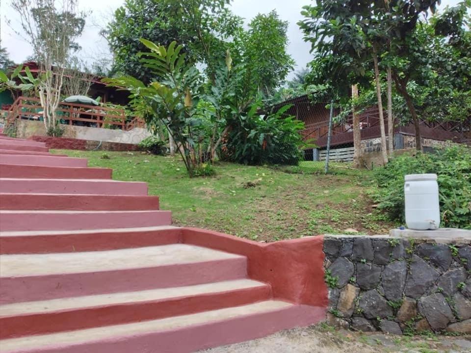 Guest House Quinta Natural Bangalots Graca Εξωτερικό φωτογραφία