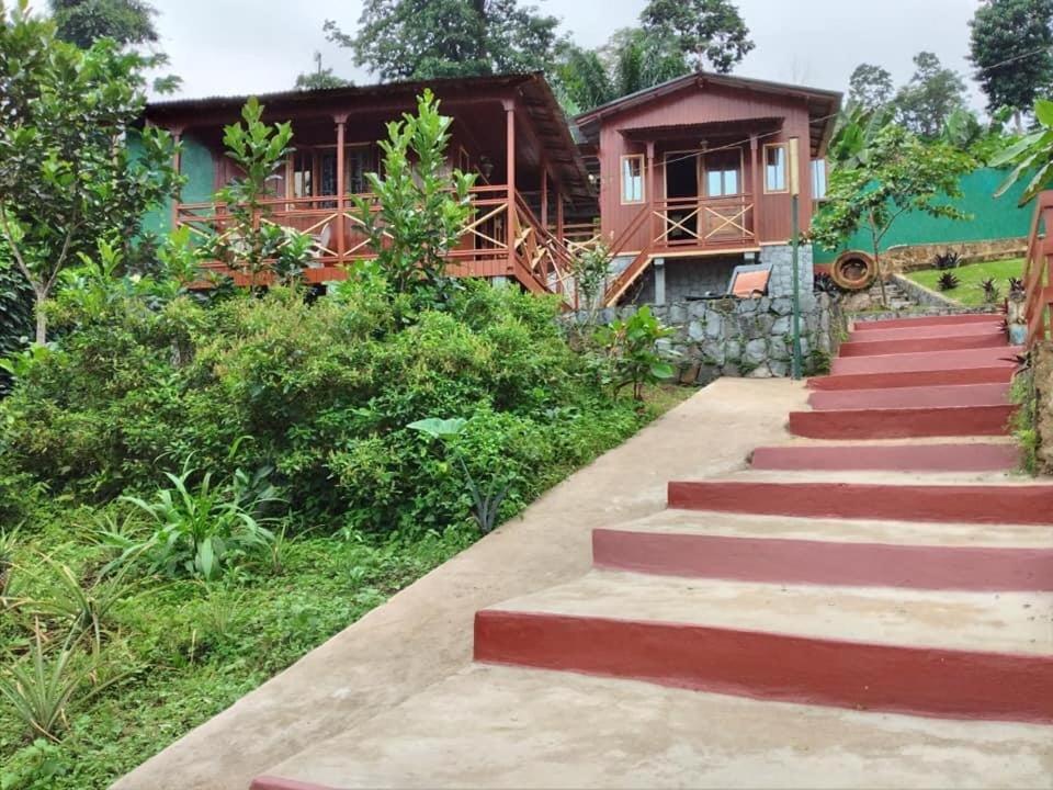 Guest House Quinta Natural Bangalots Graca Εξωτερικό φωτογραφία