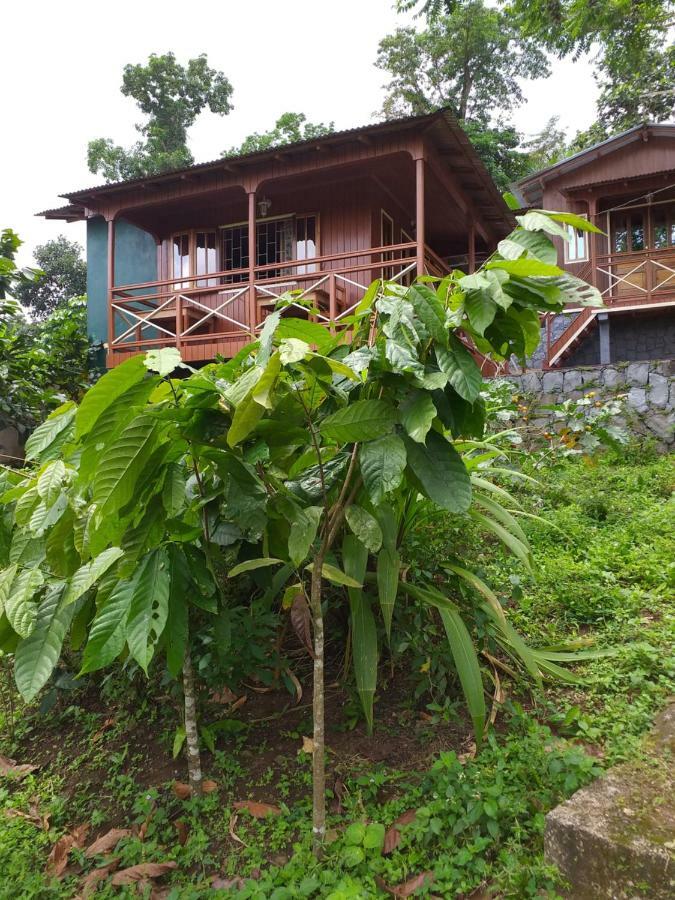 Guest House Quinta Natural Bangalots Graca Εξωτερικό φωτογραφία