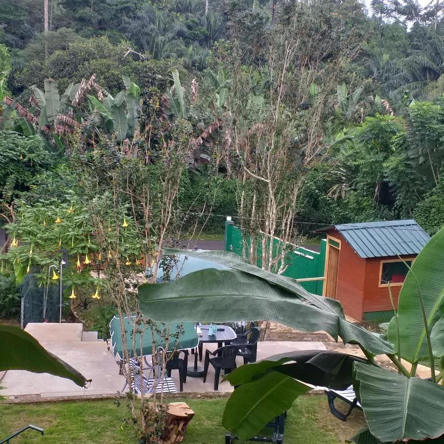 Guest House Quinta Natural Bangalots Graca Εξωτερικό φωτογραφία