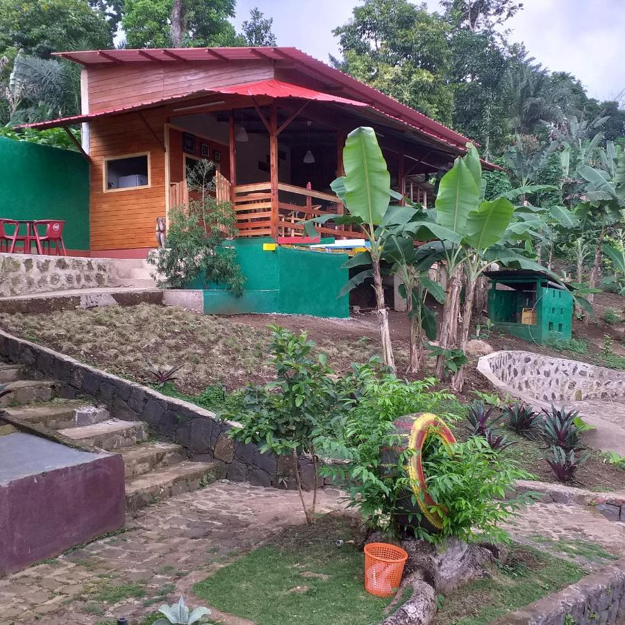 Guest House Quinta Natural Bangalots Graca Εξωτερικό φωτογραφία